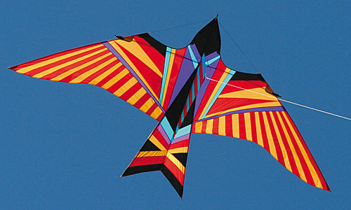 Kite 4