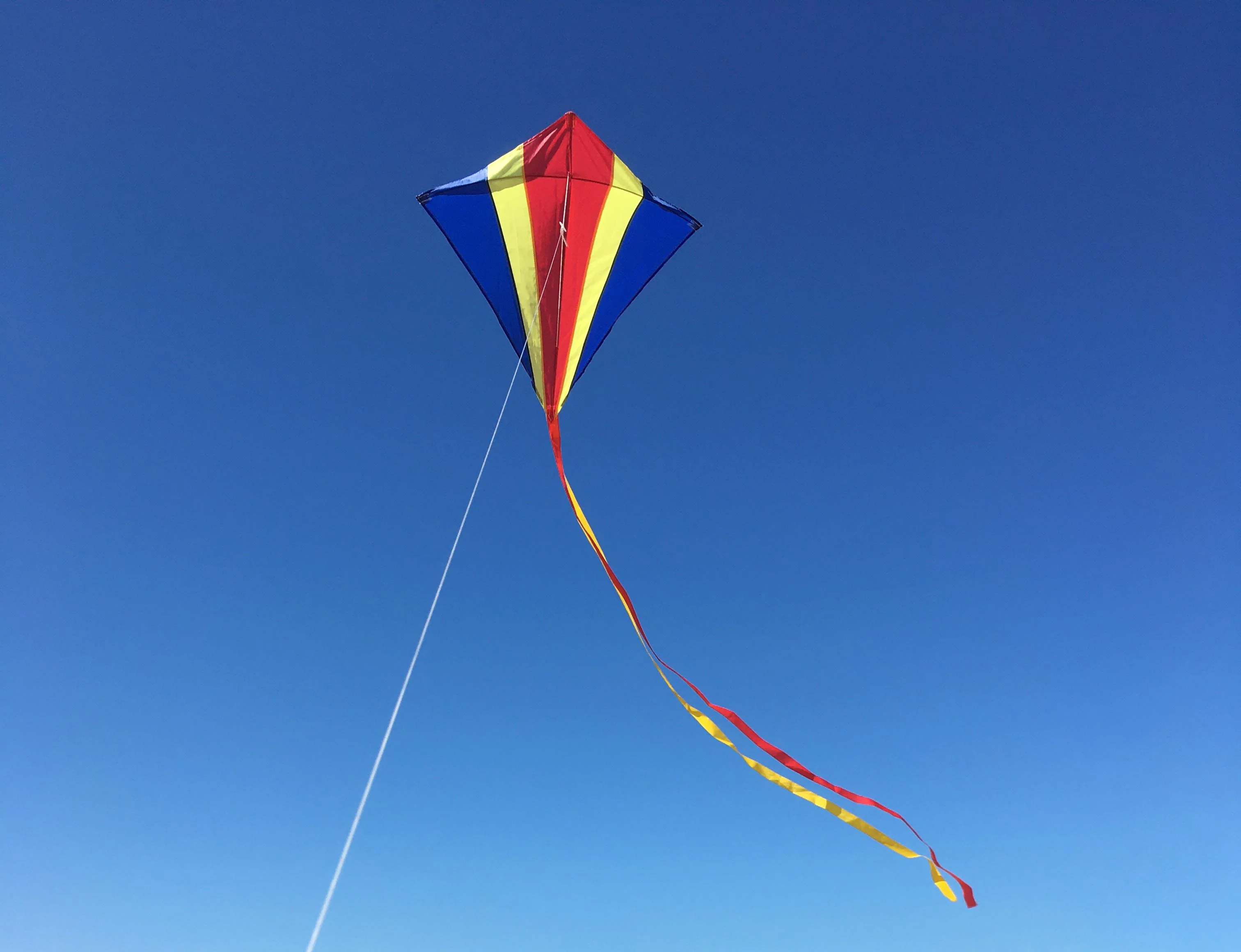 Kite 5